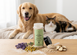 Natural coat protector for dogs and cats – pet grooming powder