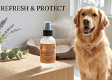 Natural pet deodorizing spray for dogs and cats – freshening pet and home mist
