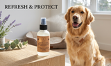 Lizush natural pet deodorizing spray – dog and cat freshening care