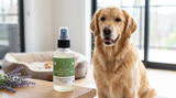Natural pet deodorizing spray bottle for dog and cat care