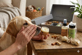 Natural dog and cat spa gift set with paw balm, snout balm and pet care essentials – Lizush
