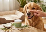 Natural snout balm for dogs and cats – moisturizing pet nose balm