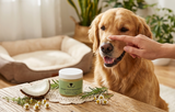 Lizush natural snout balm for dogs and cats – pet nose care